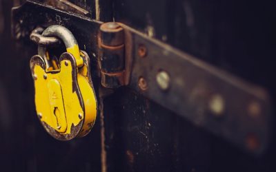 Has HTTPS seen an uptake since Chrome’s July 2018 update?